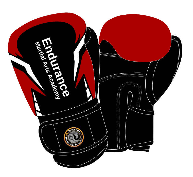 NEW -  Endurance Martial Arts DELUXE  Leather 10oz Gloves - Pre-Order