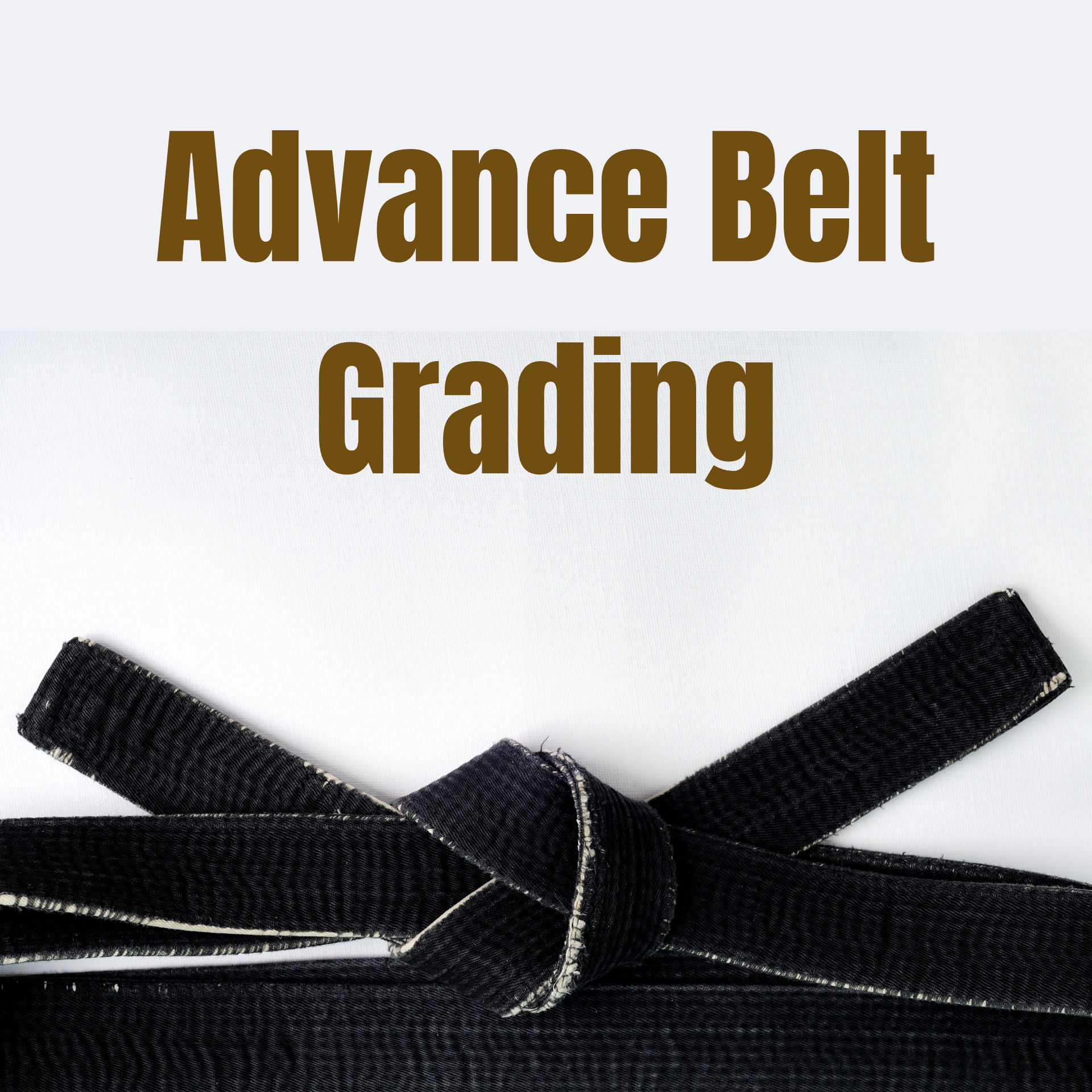 Black 2024 belt grades