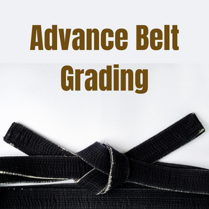 Grading - Brown Belt, Black Belt & Dan Grades
